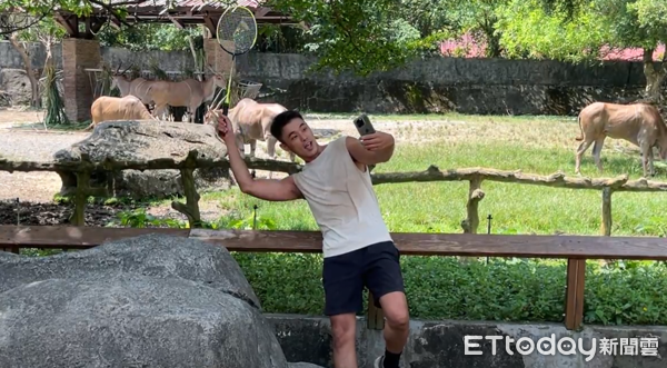 「麟洋配」奪金再創歷史！台北市立動物園為羚羊們加菜慶祝