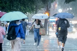 三颱共舞！米塔無威脅、浣熊遠在外　樺加沙恐成台灣最大考驗