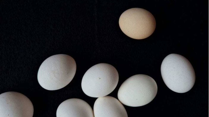 雞蛋又出事！15萬顆「芬普尼超標蛋」流向9縣市　全聯、楓康急下架回收