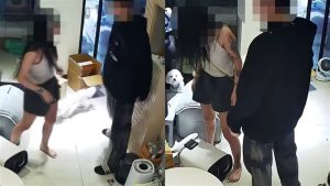 找不到貓遭嗆「殺狗換命」　高雄25歲女子爭吵後墜樓身亡