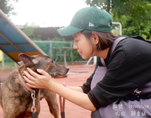 人人犬舍虐犬案挨罰480萬　米可白怒轟：290條命一條只值1萬5？