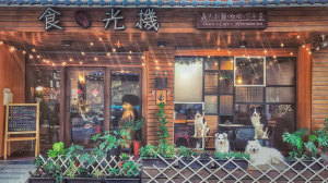 楊期閎、幸子安婚姻裂痕曝光　桃園寵物餐廳「食。光機」熄燈　老闆娘揭4年不倫真相