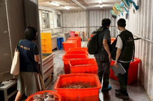 百威食品爆工業級雙氧水漂白豬大腸　監察院啟動調查：食安五環再破功