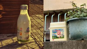 嘉南羊乳找人代操？Threads 爆紅後遭行銷公司指控　小編親自道歉澄清