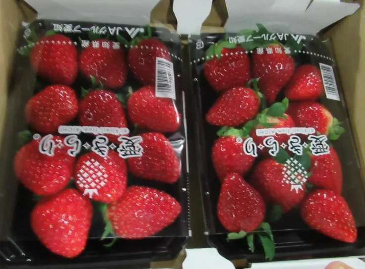 龜甲萬醬油為何被退運？防腐劑超標、日本草莓也出包