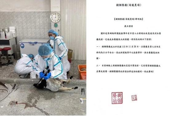 宜蘭農場空拍機投毒為何扯出家族內鬥？王逢昇3度毒殺動物　張美阿嬤農場分家搶客全揭露