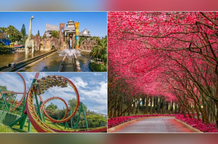 怎麼玩最划算？九族文化村、六福村秀證件免門票　劍湖山再送最美城堡免費遊