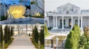 2月怎麼玩最省？嘉義蓋婭莊園「5縣市＋7字母」免門票，天天送紅包還有入園禮