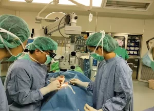 打瘦瘦針副作用？62歲男8週後眼內狂出血　三度手術止不住恐失明