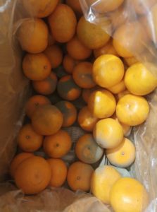 全聯桃園青埔店爆「發霉番茄擦了再賣」？衛生局稽查結果！