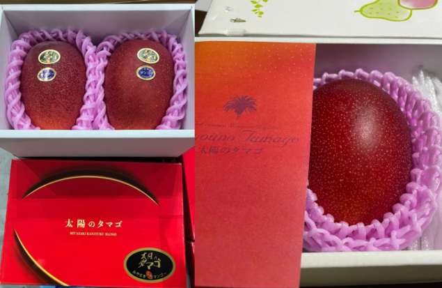 日本宮崎「太陽之子」芒果能賣到台幣11萬？揭開天價芒果的秘密