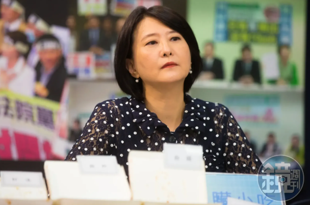 王鴻薇談《鐵拳教育》被聶永真怒嗆？爭議再被翻出