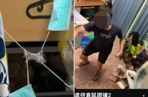 高雄高材生陳寬庭虐鼠？涉虐殺30多隻倉鼠遭移送，網聯署喊撤研究所錄取資格