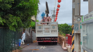 台中梧棲非洲豬瘟案宣判！陳福判1年6月、陳瑞堂判3年　隱匿死豬釀全台損失21億元（圖／中央社檔案照片）
